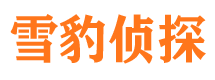 青河侦探公司